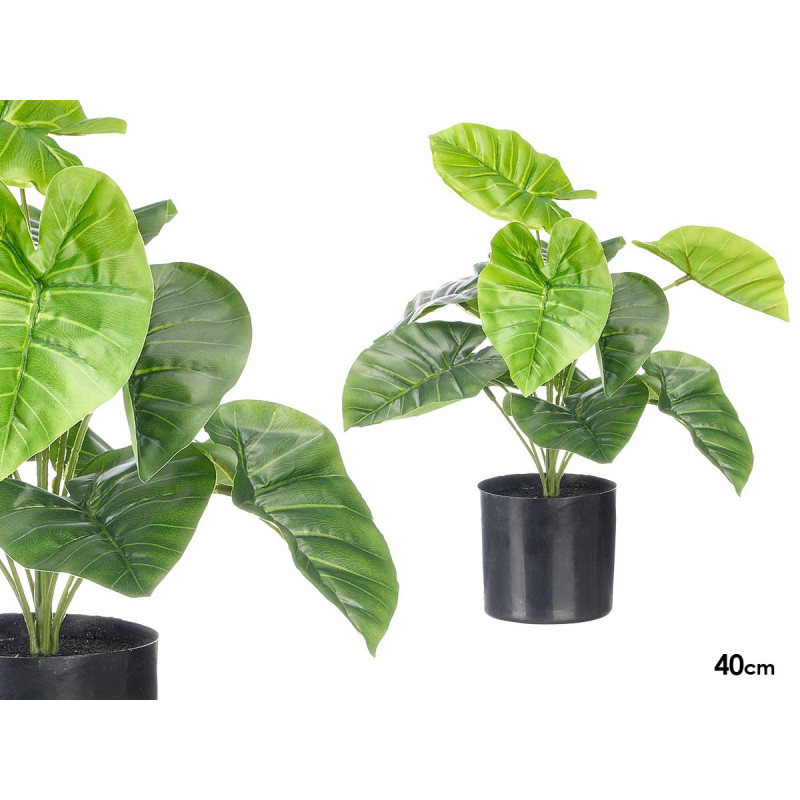 VASO PIANTA FOGLIE LARGHE 38CM