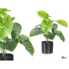 POT PLANTE FEUILLES LARGES 38CM