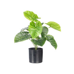 MACETA PLANTA HOJAS ANCHAS 38CM
