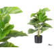 70CM POTTED PLANT WITH BROAD LEAVES 
