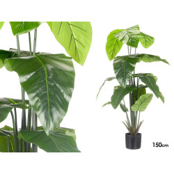 POT PLANTES À FEUILLES LARGES 150CM