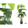 150CM POTTED PLANT WITH BROAD TIPPED LEAVES