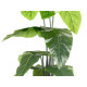150CM POTTED PLANT WITH BROAD TIPPED LEAVES