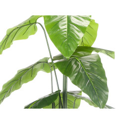 170CM POTTED PLANT WITH BROAD TIPPED LEAVES