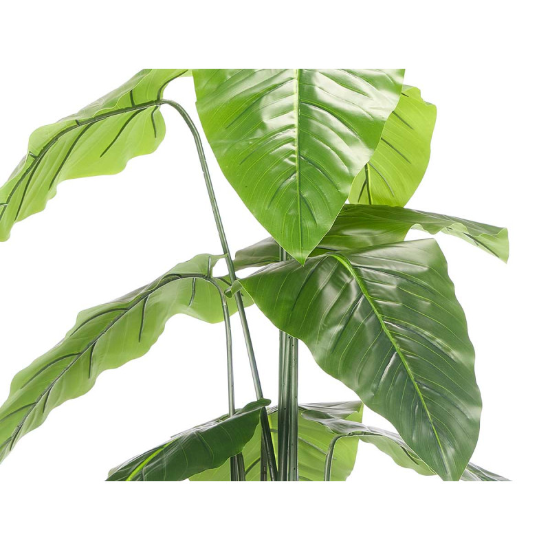 170CM POTTED PLANT WITH BROAD TIPPED LEAVES