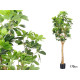 170CM PLANT WITH ELONGATED BROAD LEAVES