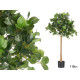 PLANTE ARBRE 110CM