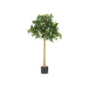 PLANTA ARBOL 110CM