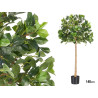 ARBRE PLANTE 130CM