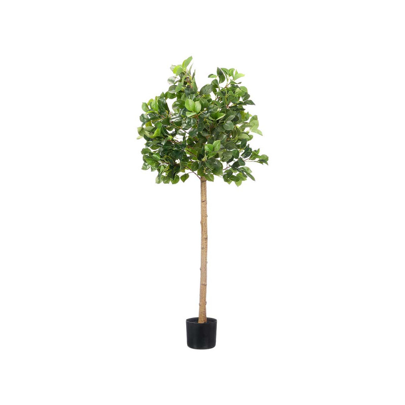 PIANTA ALBERO 150CM