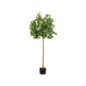 ARBRE PLANT 150CM