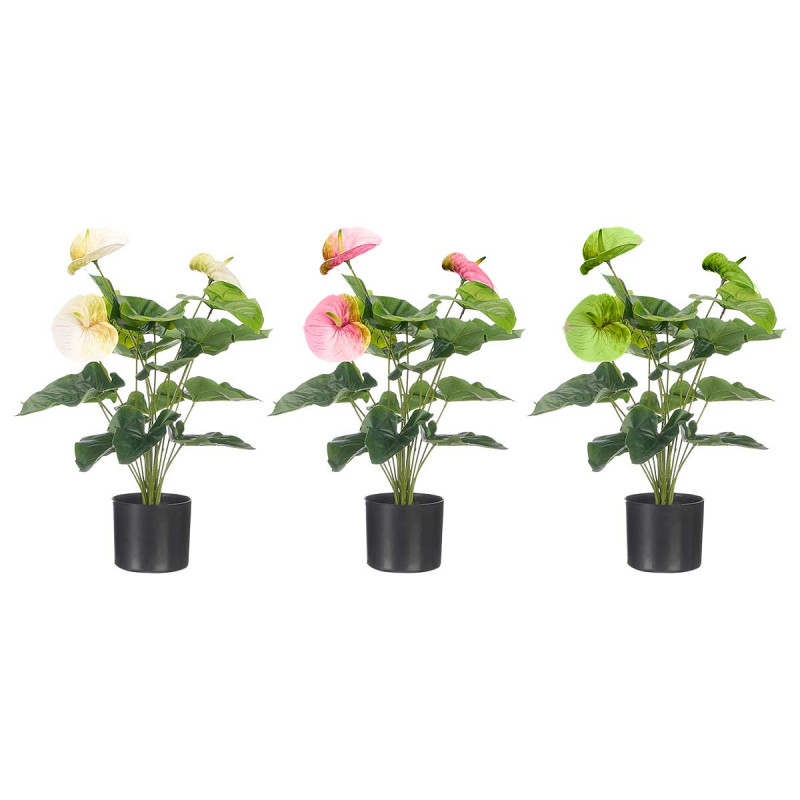 POTTED FLAMINGO FLOWER ASSORTED 3 COLORS 65CM