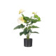 MACETA FLOR FLAMINGO SURT 3 COL 65CM