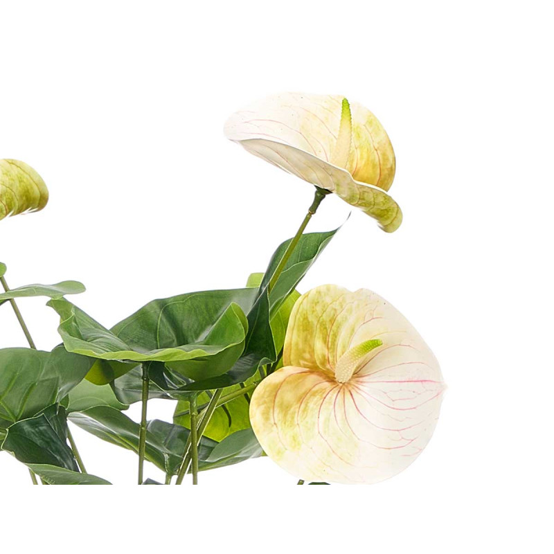 POTTED FLAMINGO FLOWER ASSORTED 3 COLORS 65CM