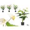 POT FLEUR FLAMANT 90CM ASSORT 3 COUL