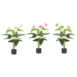 90CM POTTED FLAMINGO FLOWER ASSORTED 3 COLORS