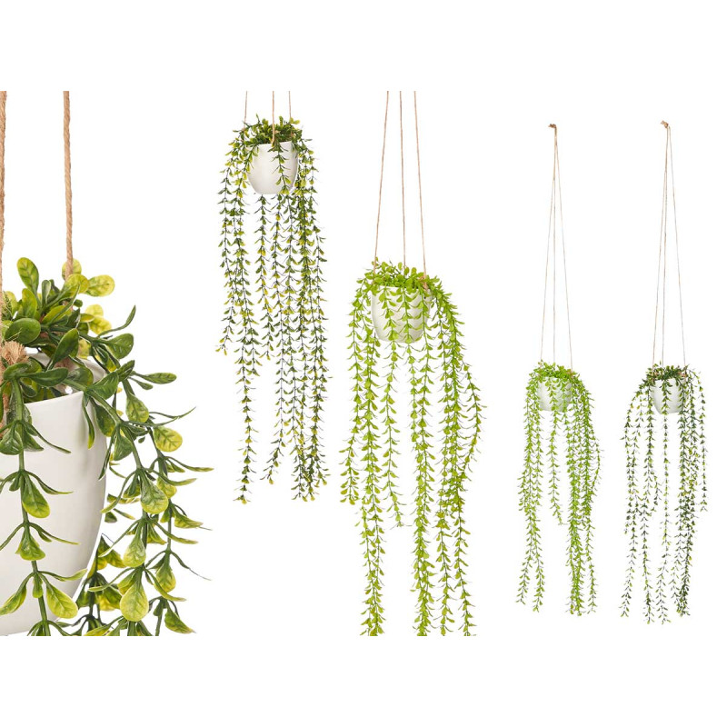 HANGING POT ASSORTED 2