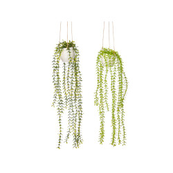 HANGING POT ASSORTED 2