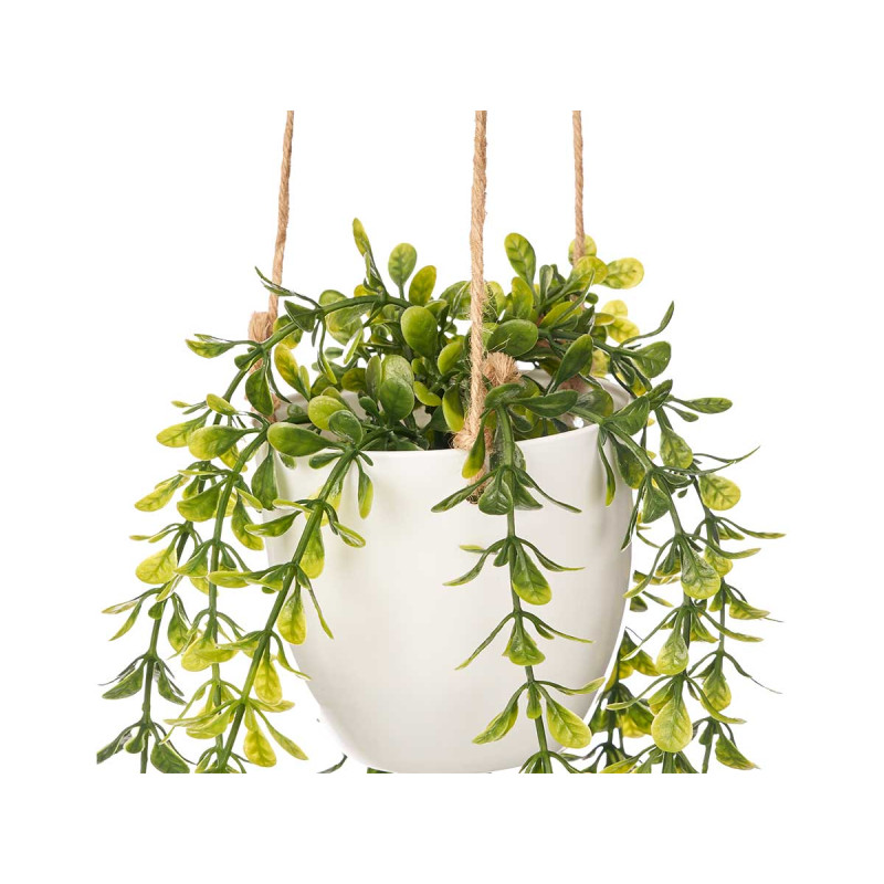 VASO APPENDERE ASSORT 2