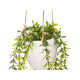 HANGING POT ASSORTED 2