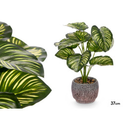 MACETA PLANTA HOJA BICOLOR 