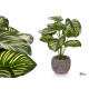 VASO PLANTA FOLHA MULTICOR