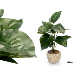  POT PLANTE FEUILLE POINTE