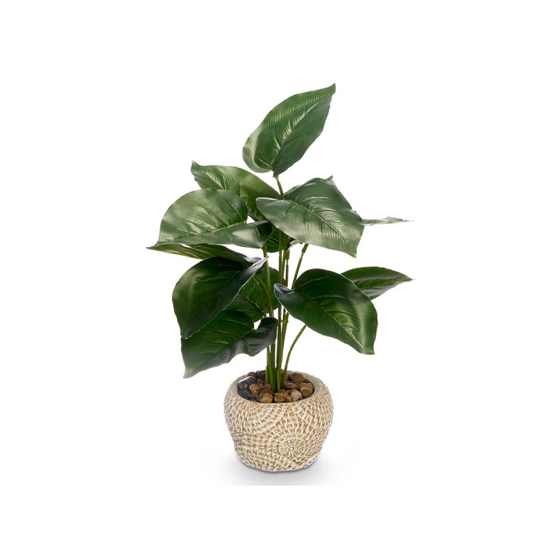  POT PLANTE FEUILLE POINTE