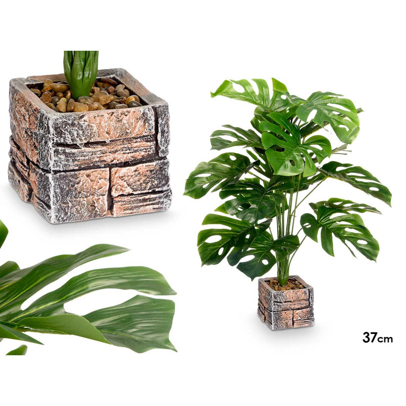 POT CARRÉ PLANTE À FEUILLES ÉTOILÉES GRAND