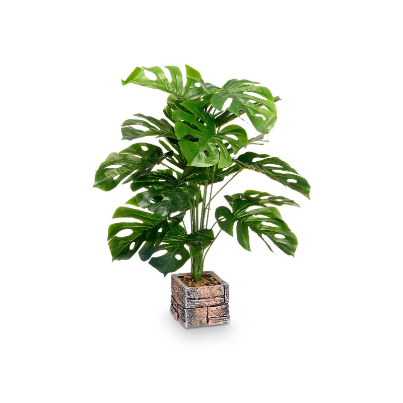 MACETA CUADRADA PLANTA HOJA COSTILLA GR