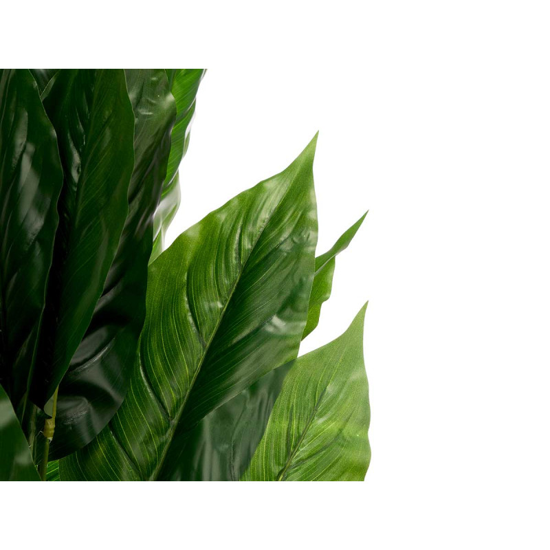 MACETA REDONDA PLANTA HOJA PUNTA GR 