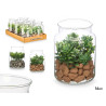 GLASS JAR PLANT ASSORTED 2 