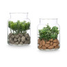 POT EN VERRE PLANTE SURT 2 MOD