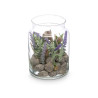 GLASS JAR LAVANDER 