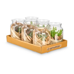 VASO VIDRO FLOR SORT 2 MOD