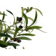 PLANTA CON MACETA OLIVO 150CM