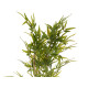 PLANTA CON MACETA BAMBU PEQUEÑO 120CM