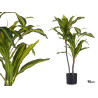 90CM SMALL BROADLEAF PLANT WITH POT 