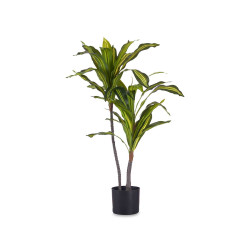 PLANTA FOLHA LARGA COM VASO PEQUENA 90CM