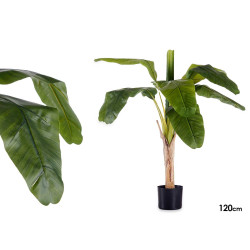 PLANTA CON MACETA BANANERA PEQUEÑA 120CM