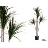 PLANTE AVEC POT FEUILLE ETROITE PETITE 140CM 
