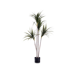 PLANTA FOLHA FINA COM VASO PEQUENA 140CM