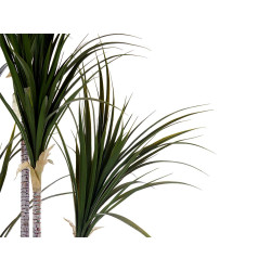 PLANTE AVEC POT FEUILLE ETROITE PETITE 140CM 