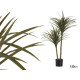 PLANTA CON MACETA HOJA ESTRECHA MEDIANA 150CM
