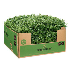 VERTICAL GARDEN ROUNDED LEAF 50X50CM