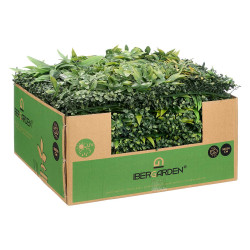 JARDIN VERTICAL HOJA MORADA AMARILLA 50X50CM