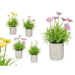 POT CIMENT CARRÉS MARGUERITES ASSORT 4