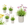 POT CIMENT CARRÉS MARGUERITES ASSORT 4