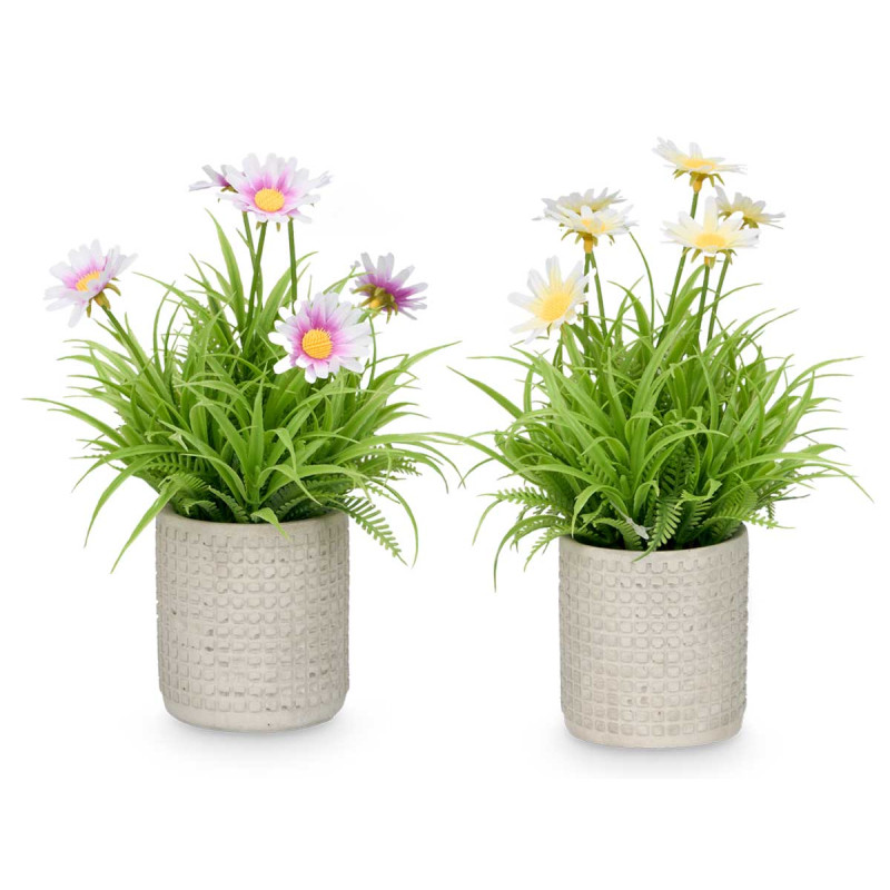 POT CIMENT CARRÉS MARGUERITES ASSORT 4