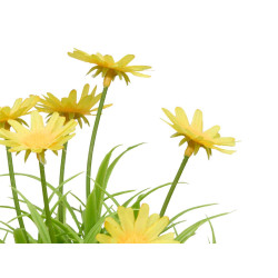 SQUARE CEMENT POT DAISY ASSORTED 4  